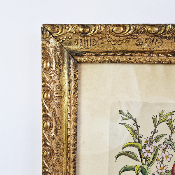 Antique gilded frame with vintage print