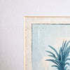 Antique Italian print of Sicily