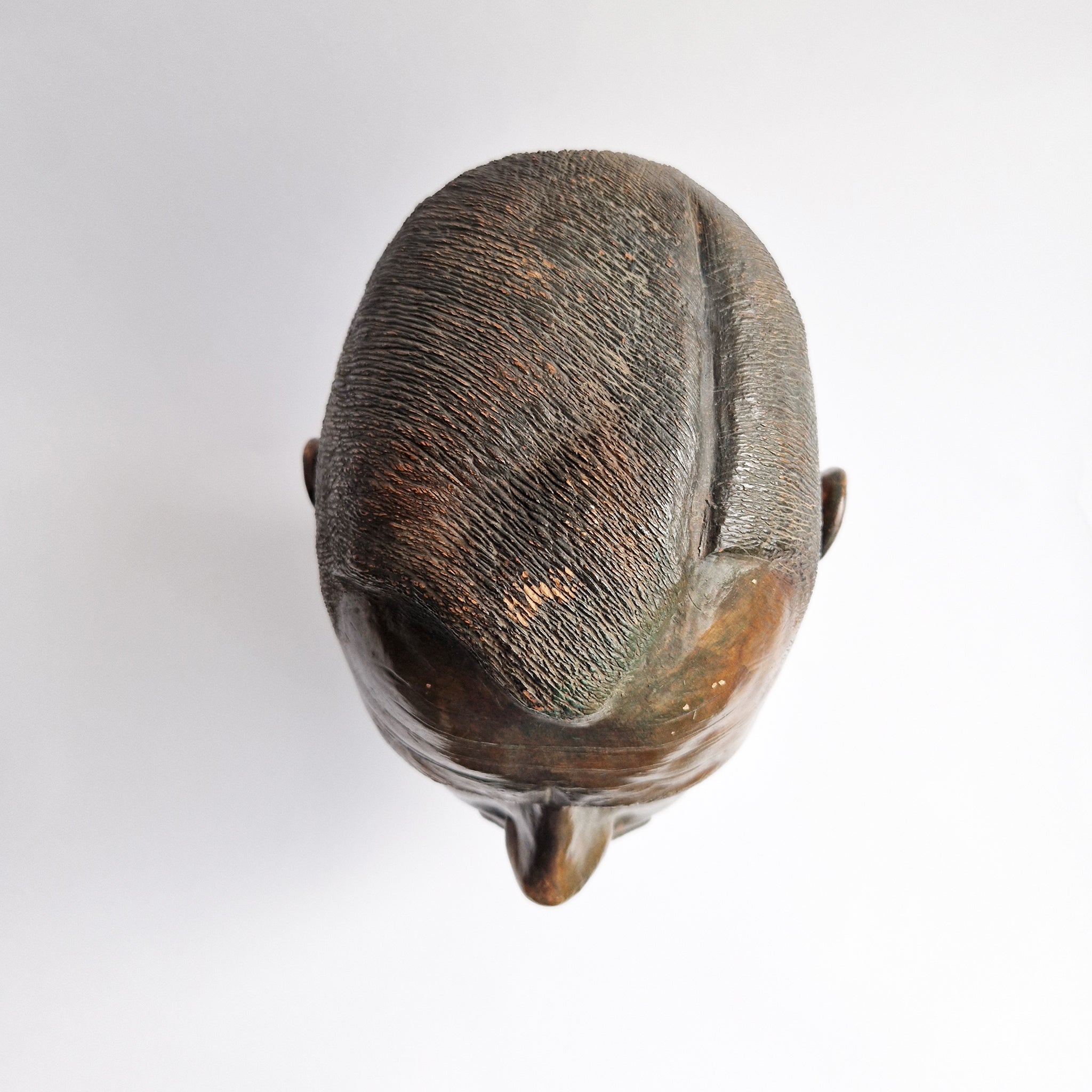 Italian bronzed terracotta head