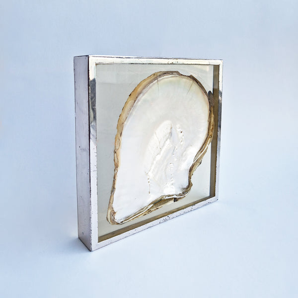 Vintage pearl oyster decorative dish