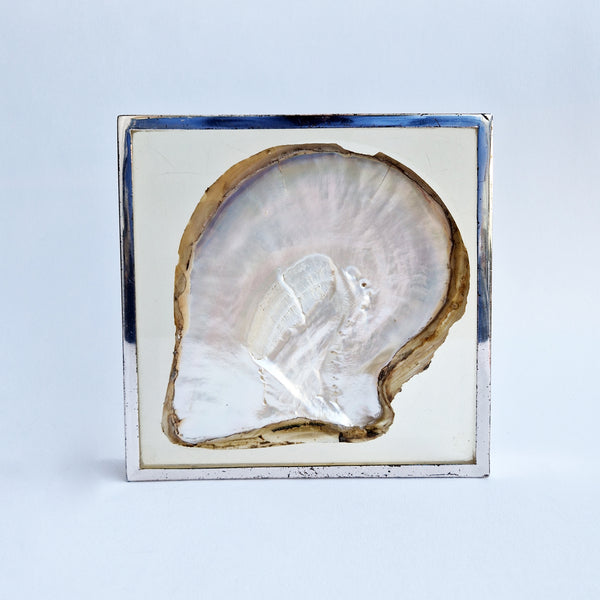 Vintage pearl oyster decorative dish