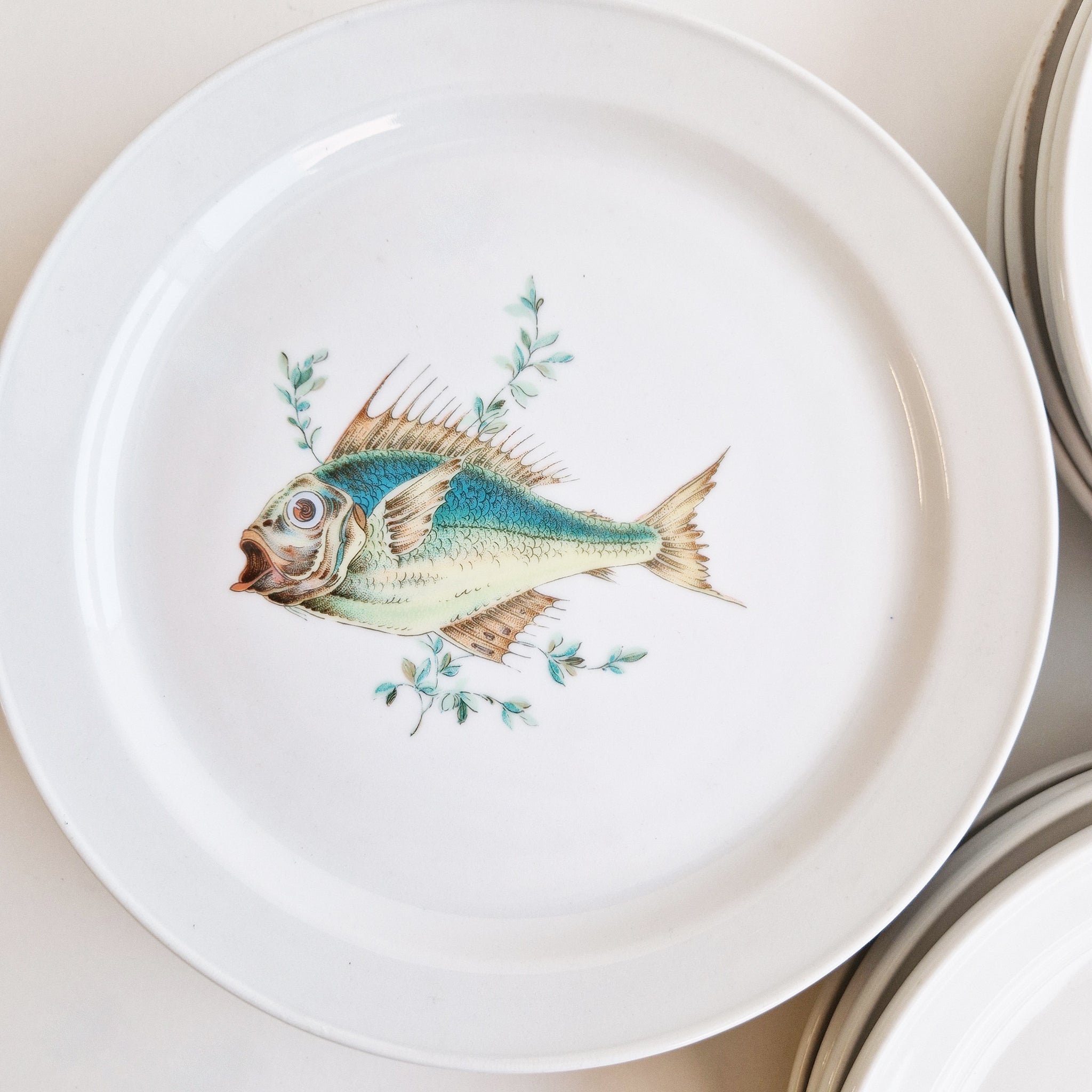 Vintage fish plates by Richard Ginori
