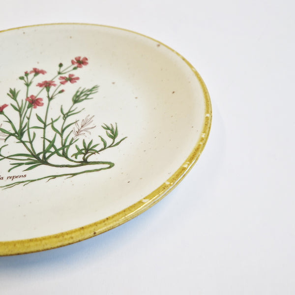 Vintage Italian ceramic plate with flowers