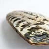 Vintage large decorative mussel shell